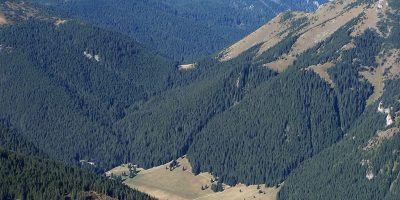 Dolina Chochołowska